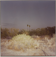 Richard%20Misrach%2C%20%3Cb%3E%3Ci%3E%20Untitled%2C%20from%20the%20portfolio%20New%20California%20Views%3C%2Fi%3E%3C%2Fb%3E%2C%201979%2C%20chromogenic%20print%2C%20Gift%20of%20Arthur%20Taussig%2C%20%26%23169%3B%20artist%20or%20other%20rights%20holder%2C%202012.10.22i